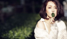 刘一含主演的电视剧,情感纠葛与成长蜕变