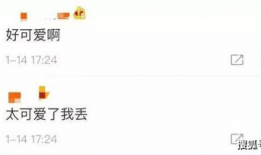 微信吃瓜爆料免费最新,微信吃瓜爆料免费，带你领略最新热门事件！