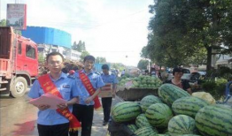 沛县吃瓜最新事件爆料,揭秘背后真相与争议